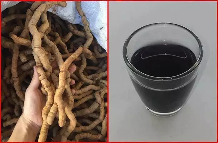 Bật mí cách sử dụng ba kích giúp tối ưu hóa lợi ích 19 Panax Việt Nam