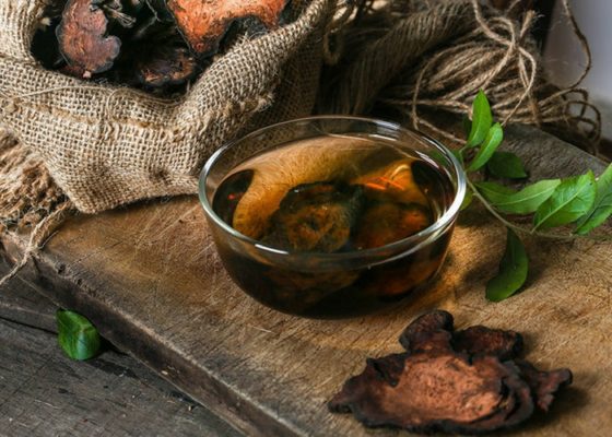 Hà thủ ô có tác dụng gì? cách sử dụng hà thủ ô như thế nào là tốt nhất? 16 Panax Việt Nam