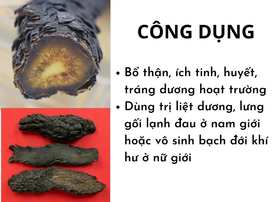Hướng dẫn chi tiết cách sử dụng nhục thung dung hiệu quả 28 Panax Việt Nam
