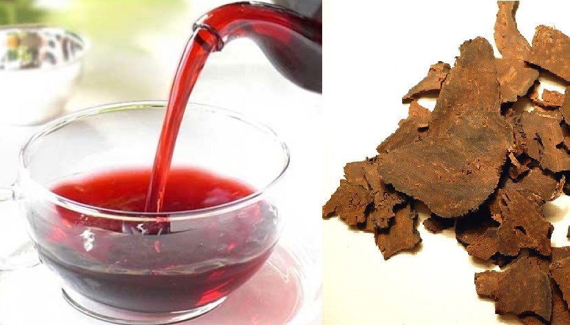 Hà Thủ Ô Từ Tâm - bí quyết sức khỏe từ thiên nhiên 15 Panax Việt Nam